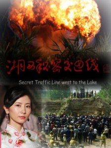 可疑的女士2020